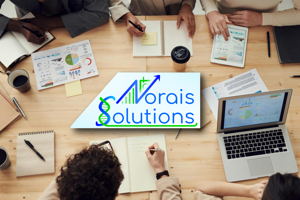Norais Solutions travaille avec vous