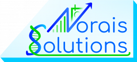 Logo Norais Solutions